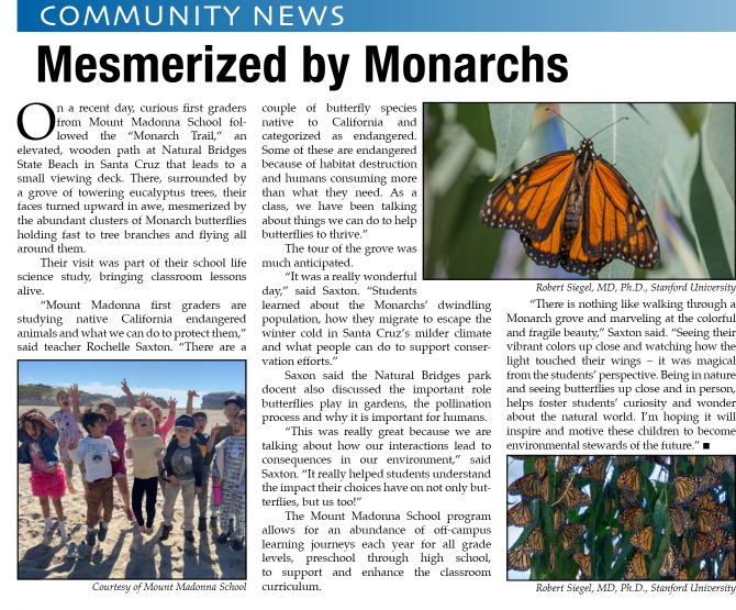 Aptos Times Monarchs story_11.15.24